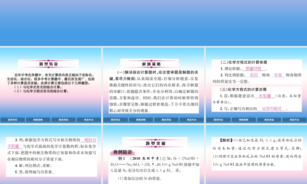 中考化学复习 第2编 重点专题突破篇 专题突破7 计算题(精讲)课件