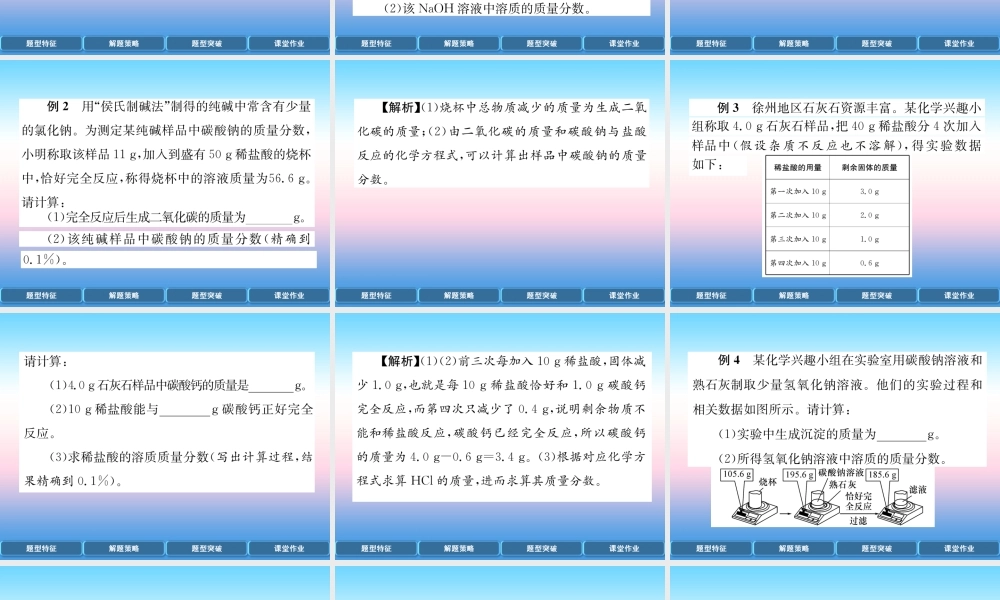 中考化学复习 第2编 重点专题突破篇 专题突破7 计算题(精讲)课件