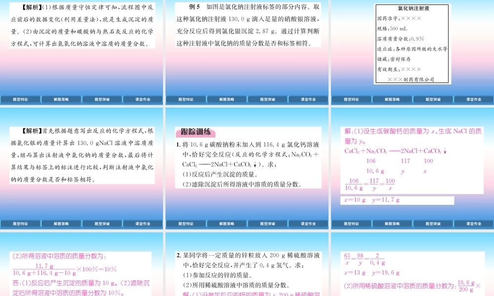 中考化学复习 第2编 重点专题突破篇 专题突破7 计算题(精讲)课件