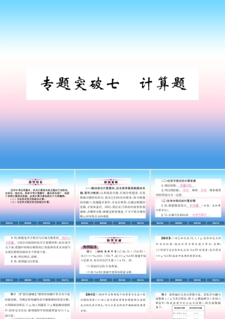 中考化学复习 第2编 重点专题突破篇 专题突破7 计算题(精讲)课件