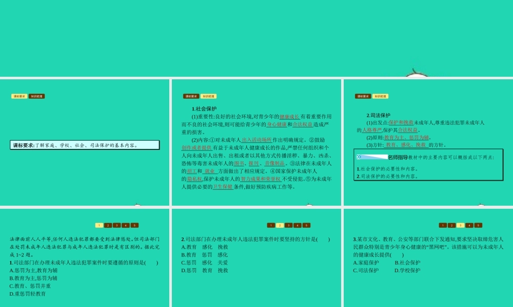 八年级政治上册 第五单元 生活在法律的保护中 第二节 法律对未成年人的特殊保护 第3 4框 社会保护 司法保护课件 湘教版 课件