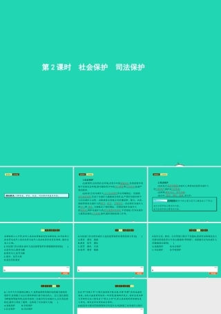 八年级政治上册 第五单元 生活在法律的保护中 第二节 法律对未成年人的特殊保护 第3 4框 社会保护 司法保护课件 湘教版 课件
