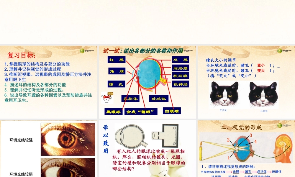 八年级生物下册 第七章 复习配套课件 鲁科版 课件