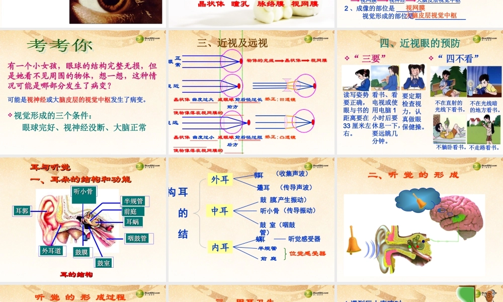 八年级生物下册 第七章 复习配套课件 鲁科版 课件