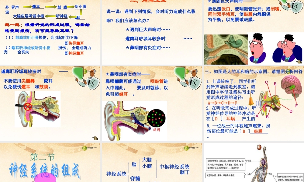 八年级生物下册 第七章 复习配套课件 鲁科版 课件