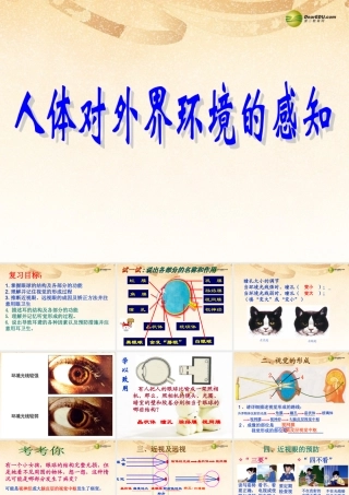 八年级生物下册 第七章 复习配套课件 鲁科版 课件