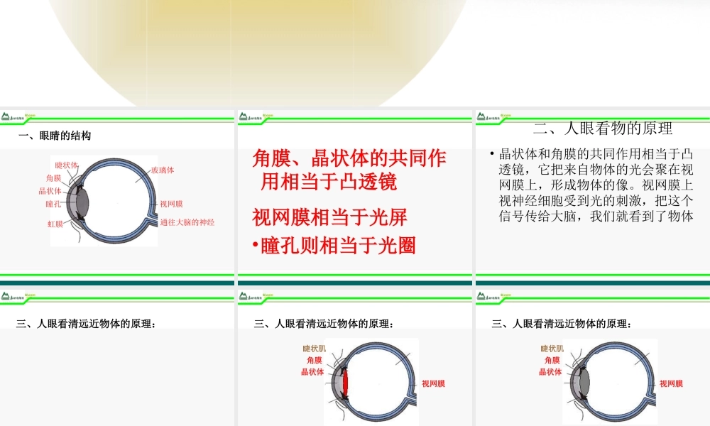 八年级物理上册 第三章第四节眼睛和眼镜课件 人教新课标版 课件