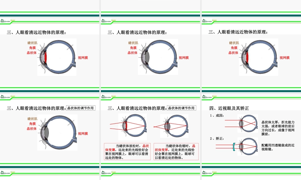 八年级物理上册 第三章第四节眼睛和眼镜课件 人教新课标版 课件