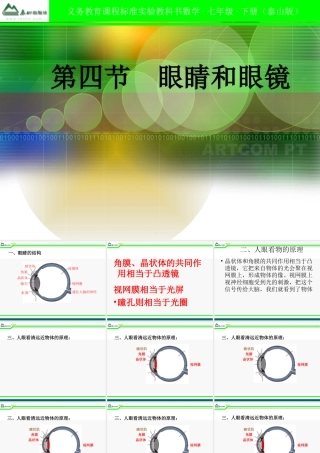 八年级物理上册 第三章第四节眼睛和眼镜课件 人教新课标版 课件