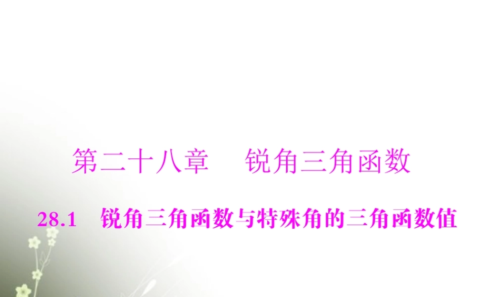九年级数学下册 第二十八章 锐角三角函数 281 锐角三角函数与特殊角的三角函数值配套课件 新人教版 课件