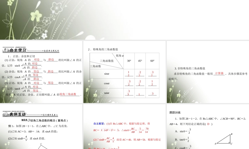 九年级数学下册 第二十八章 锐角三角函数 281 锐角三角函数与特殊角的三角函数值配套课件 新人教版 课件