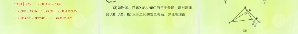 八年级数学上册 第13章 全等三角形 考点专训(四)全等三角形的判定与性质习题课件 (新版)华东师大版 课件