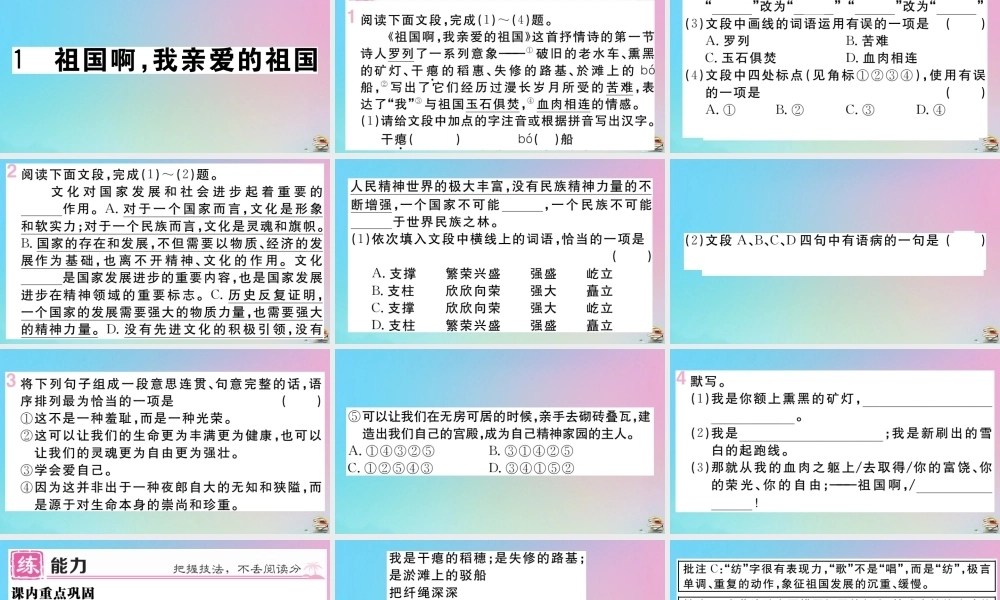 九年级语文下册 第一单元 1 祖国啊，我亲爱的祖国作业课件 新人教版 课件