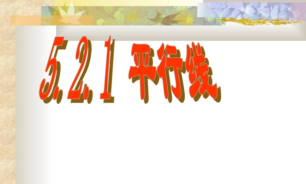 七年级数学下学期平行线第一课时课件人教版 课件