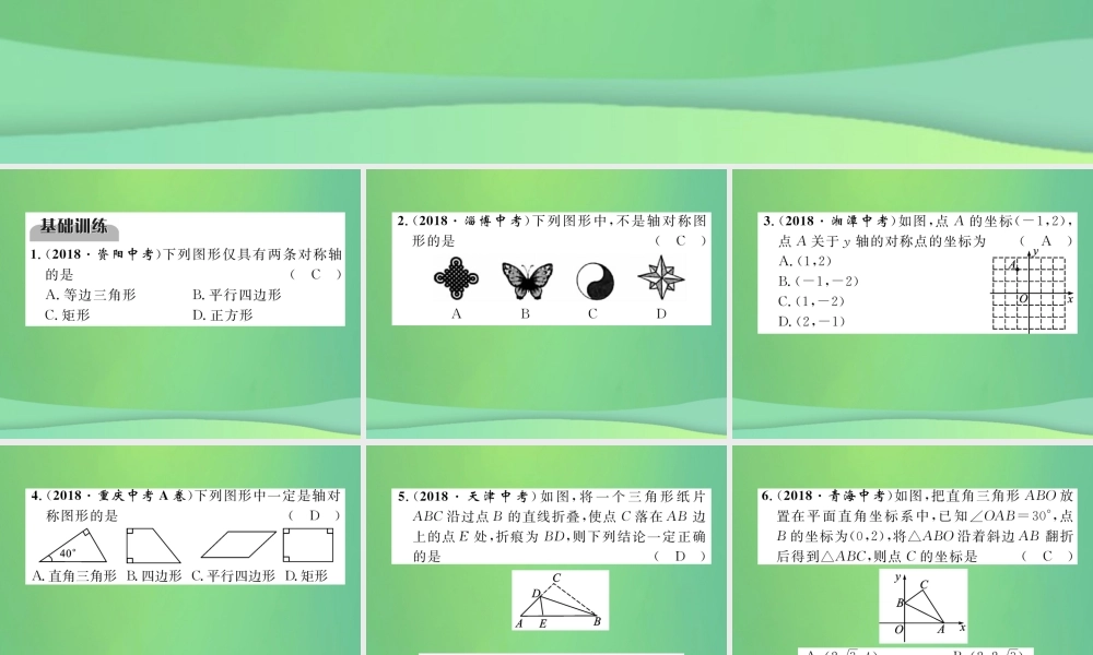 中考数学复习 第6章 投影与视图 第21课时 图形的对称与折叠(精练)课件