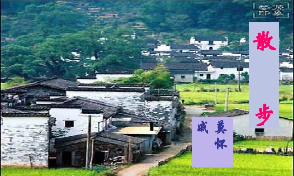 八年级语文下册 (散步)课件 苏教版 课件