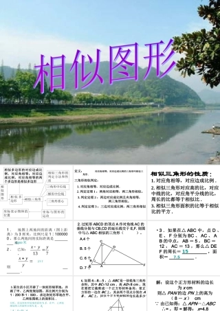 九年级数学相似图形复习课件