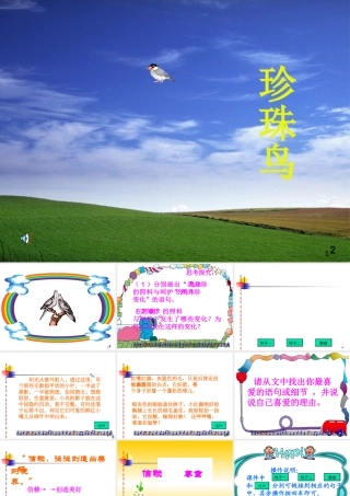 《珍珠鸟》ppt课件8