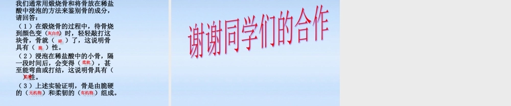 七年级生物下册 第六章第一节人体的运动课件 冀教版 课件