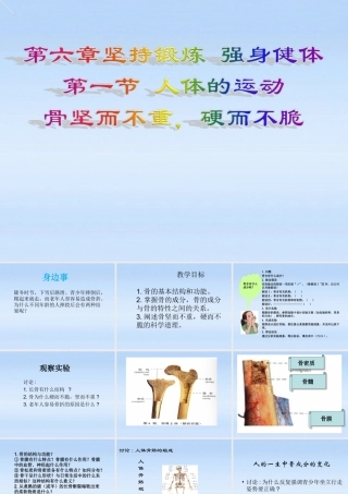 七年级生物下册 第六章第一节人体的运动课件 冀教版 课件