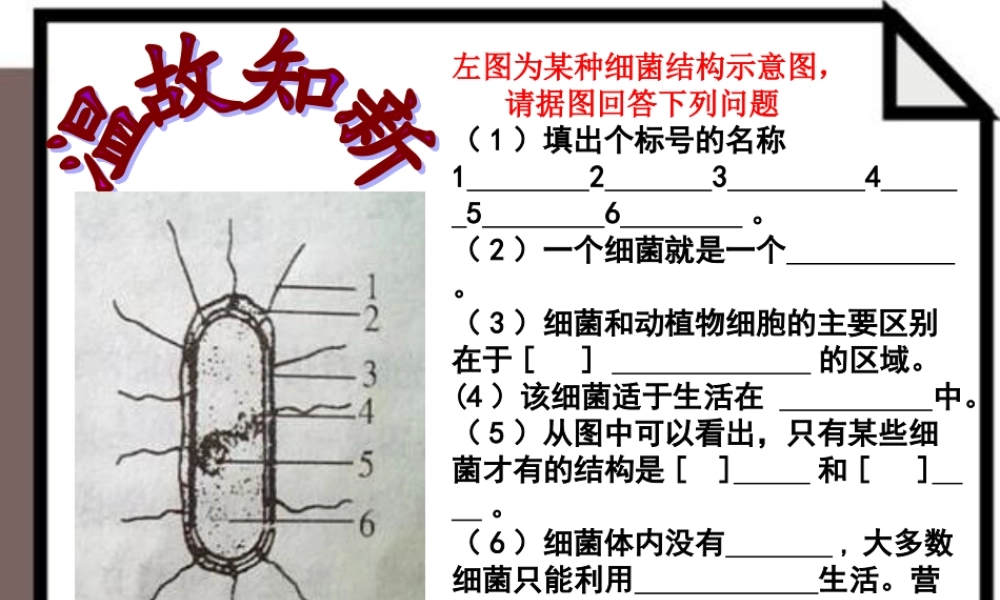 讲课用：真菌[1]