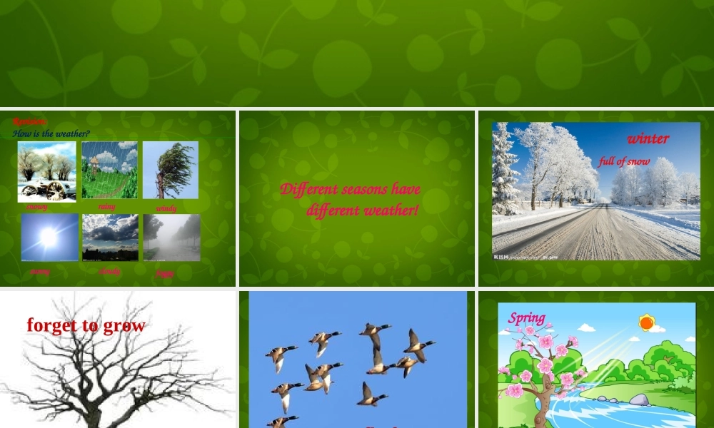 八年级英语上册 Unit 7 Seasons知识梳理课件3 (新版)牛津版 课件
