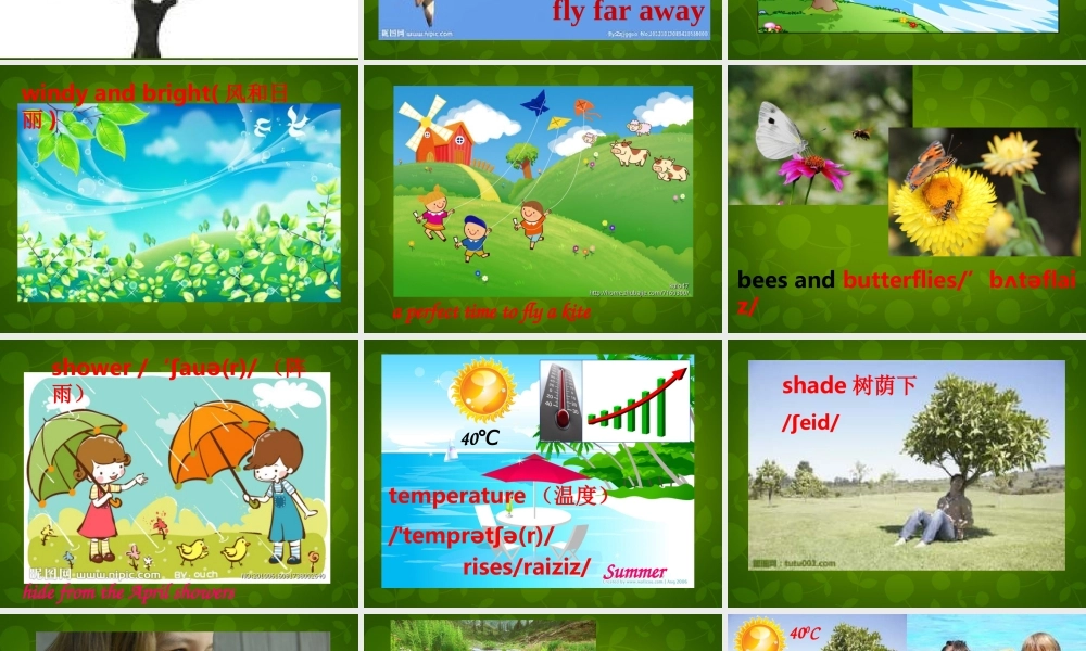 八年级英语上册 Unit 7 Seasons知识梳理课件3 (新版)牛津版 课件