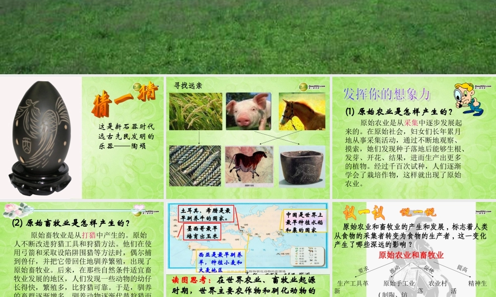 八年级历史与社会上册 第一单元 第二课原始农业和先民的家园课件 人教版 课件