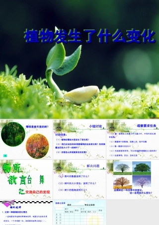 1.6植物发生了什么变化