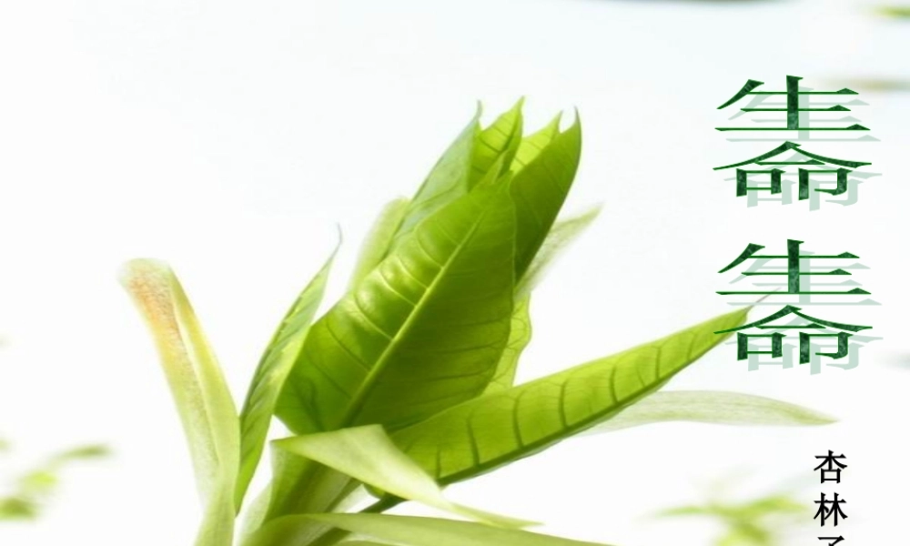 七年级语文生命 生命课件4 新课标 人教版 课件