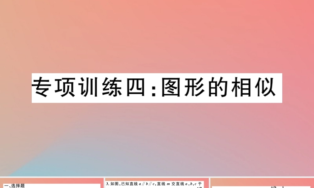 九年级数学下册 九上 复习专项训练四 图形的相似习题讲评课件 (新版)北师大版 课件