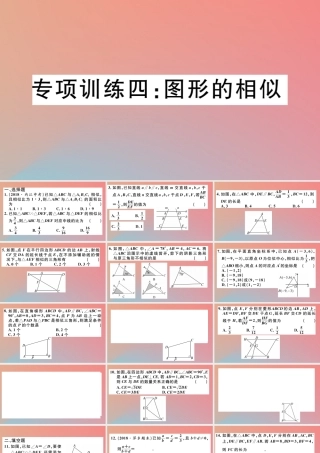 九年级数学下册 九上 复习专项训练四 图形的相似习题讲评课件 (新版)北师大版 课件