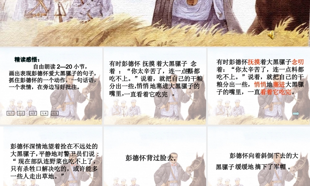 彭德怀和他的大黑骡子——包林玉
