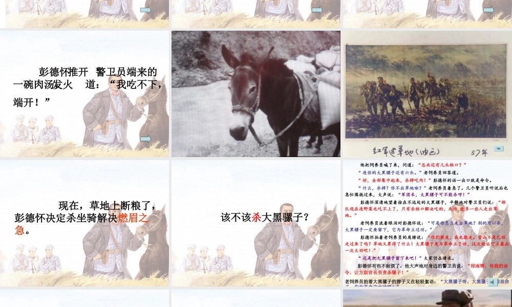 彭德怀和他的大黑骡子——包林玉