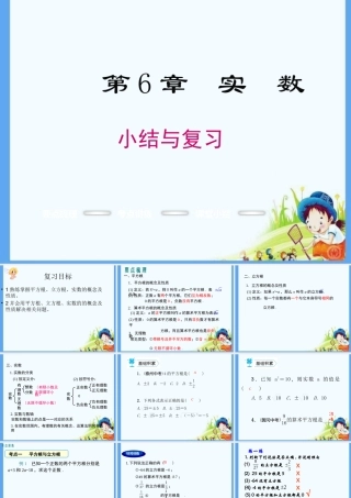 实数复习课教案