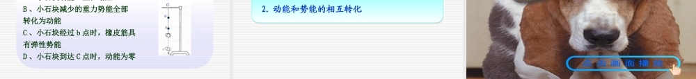 11.4机械能及其转化课件(修改)