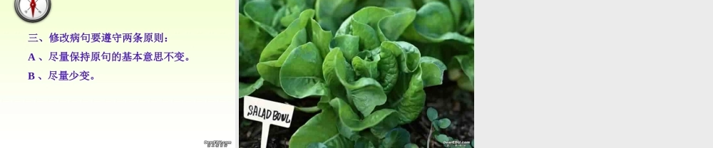 人教版中考语文修改病句的方法和技巧 试题