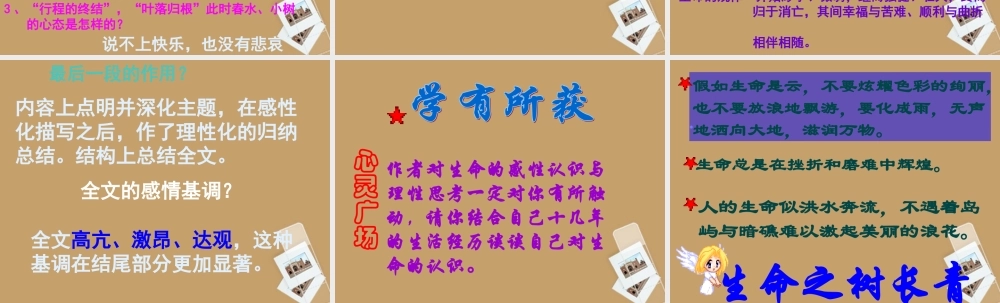 九年级语文下册(谈生命)课件 人教新课标版 课件