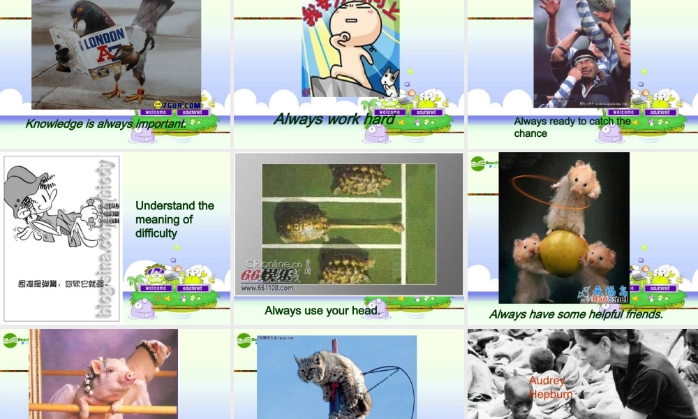 九年级英语上册 unit5 reading1课件 牛津版 课件