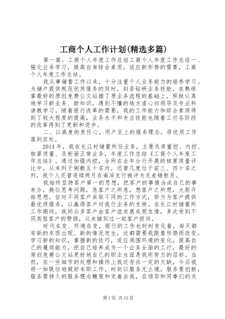 工商个人工作计划(精选多篇)