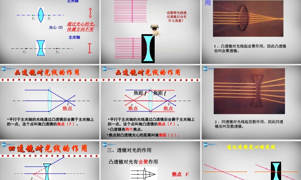 八年级物理上册 5.1 透镜课件6 (新版)新人教版 课件