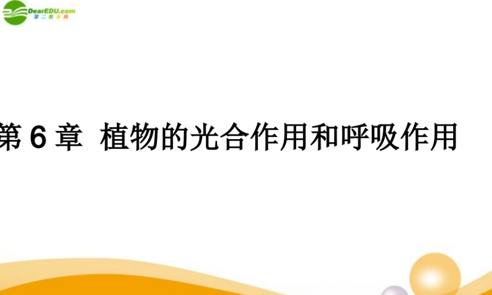 七年级生物上册 第6章植物的光合作用和呼吸作用复习课件 苏教版 课件