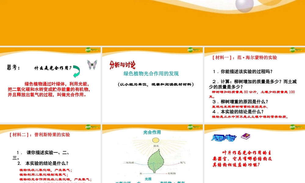 七年级生物上册 第6章植物的光合作用和呼吸作用复习课件 苏教版 课件