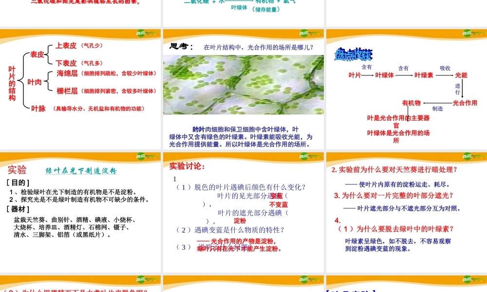 七年级生物上册 第6章植物的光合作用和呼吸作用复习课件 苏教版 课件
