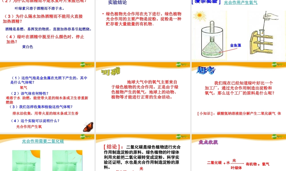 七年级生物上册 第6章植物的光合作用和呼吸作用复习课件 苏教版 课件