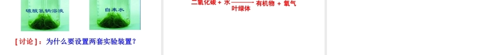 七年级生物上册 第6章植物的光合作用和呼吸作用复习课件 苏教版 课件