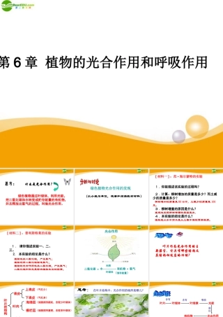 七年级生物上册 第6章植物的光合作用和呼吸作用复习课件 苏教版 课件