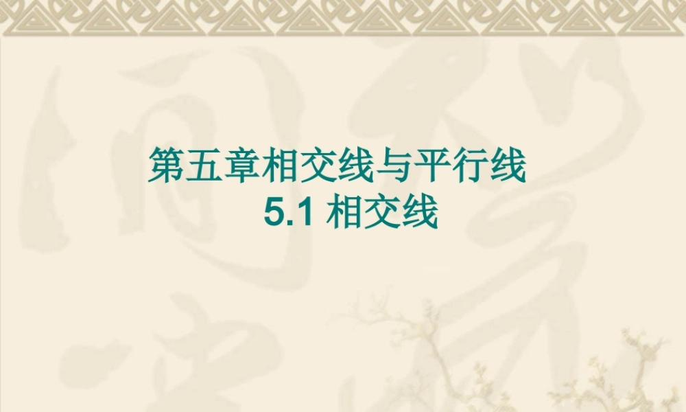 5.1-相交线.ppt