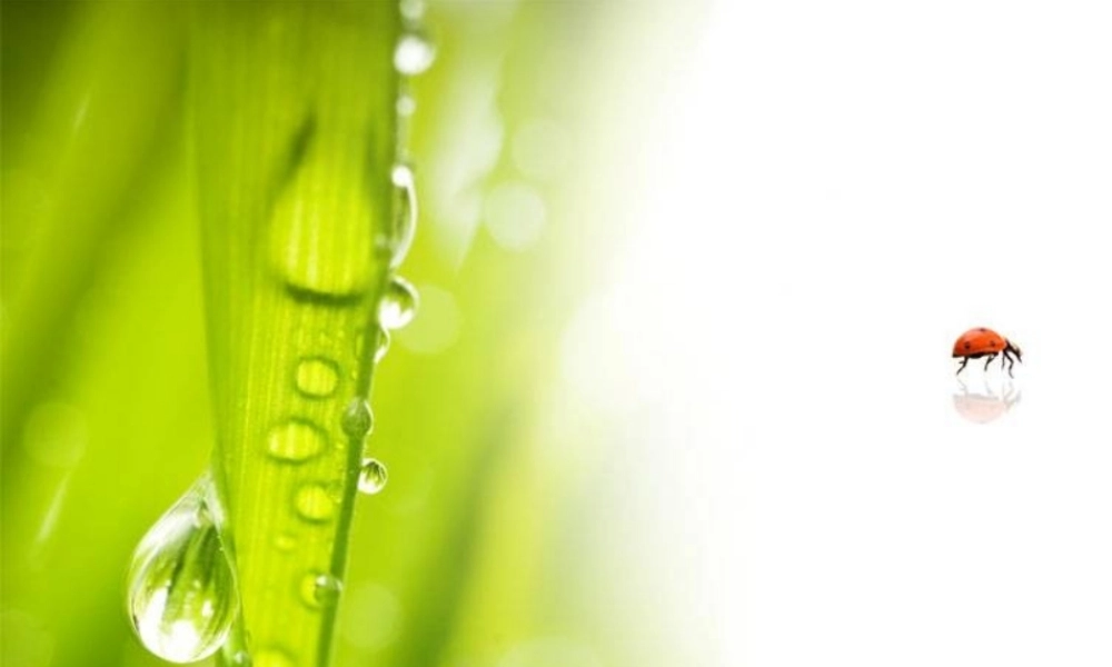 《式与方程的整理与复习》ppt课件(1)2(8)