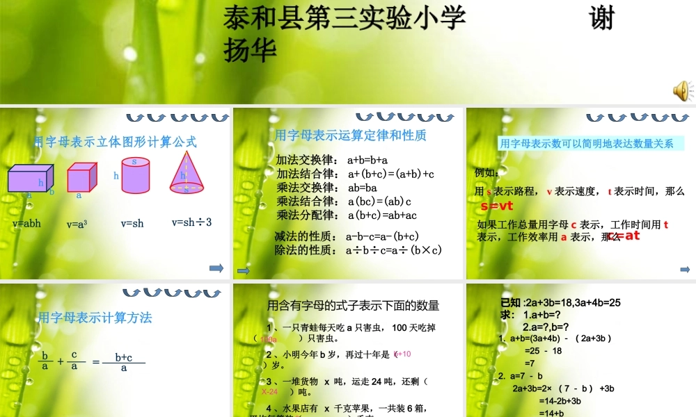 《式与方程的整理与复习》ppt课件(1)2(8)